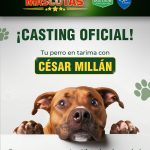 Expo Mascotas 2026: ¡Cesar Millán abre Casting Oficial!