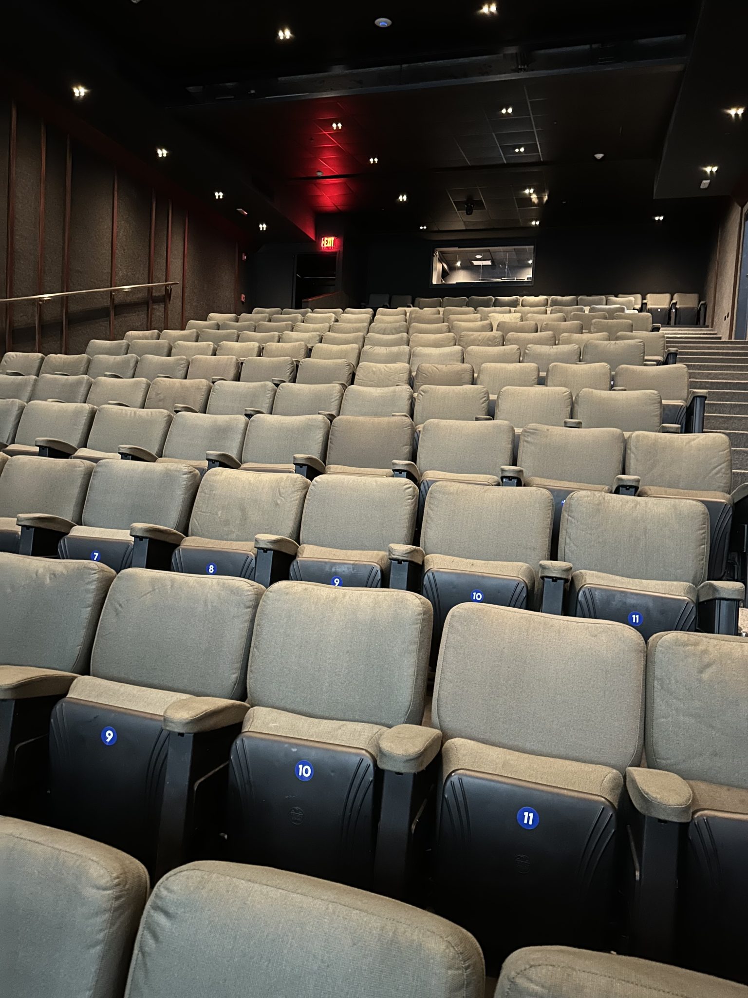 Cinética Cultural, fraguando ideas