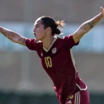 Apoyo al sueño Vinotinto